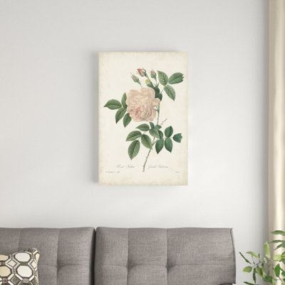 Roses rétro Redoute II