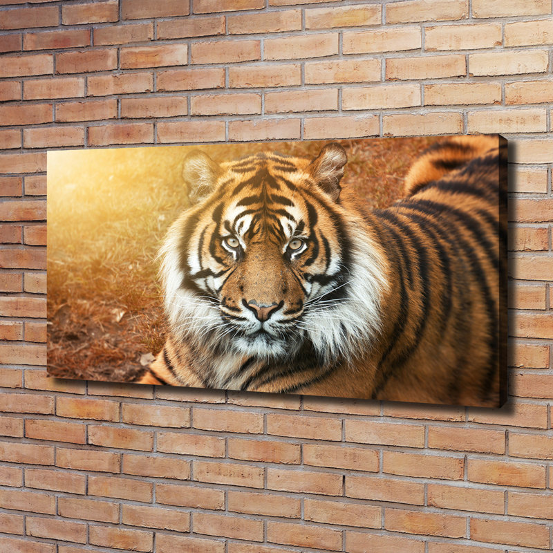 Bengal Tiger - Wrapped Canvas Print