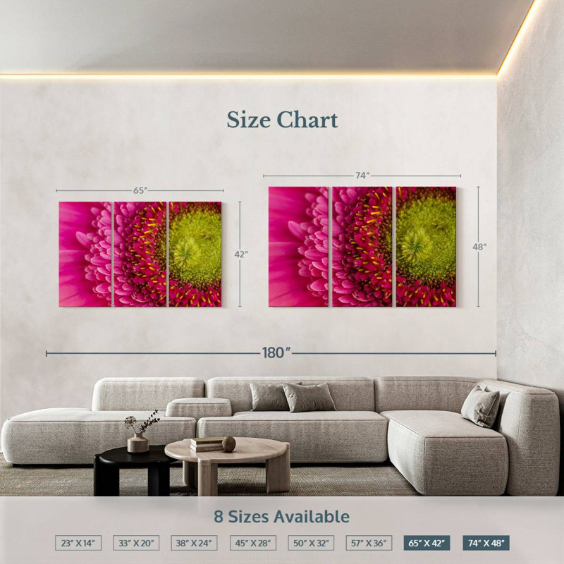 Magnified Gerbera Daisy, 42" H x 65" W