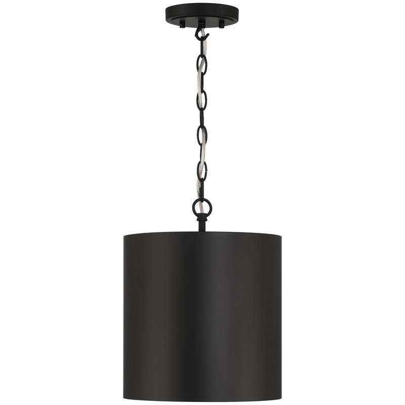 Luminaire suspendu 1 lumière Candiece