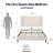 54" Headboard Queen Bed, Velvet Upholstery, No Box Spring, Easy Assembly Procedure, Traditional Button Tufting, Nailhead Trimmed Wingback Bed Upholstered Tall Headboard, Cover, Spring Not Required,-494804250-494804251
