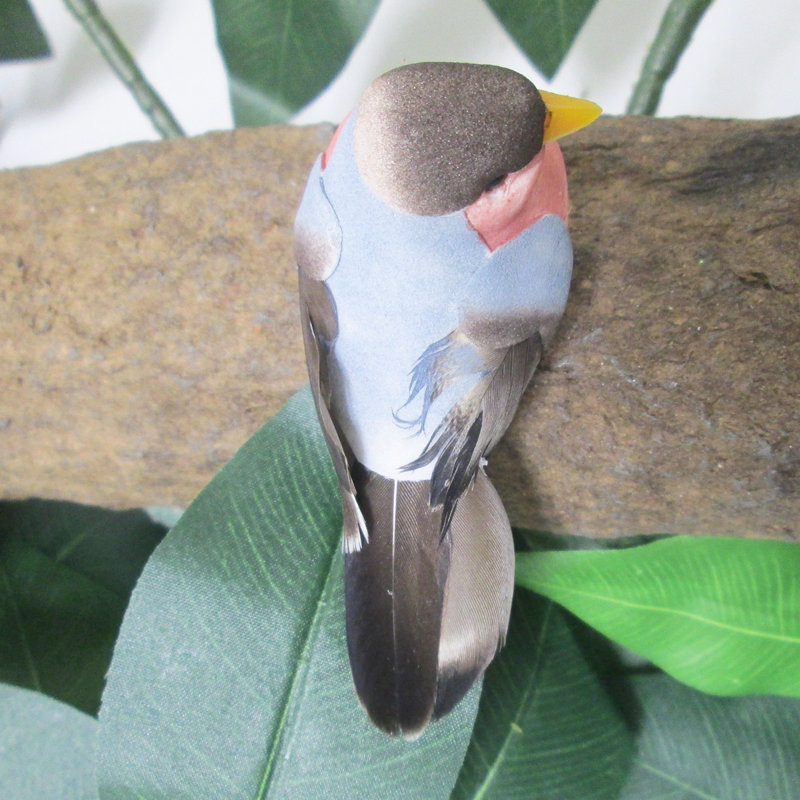 Moineau à queue en forme de cloche, Gris-brun