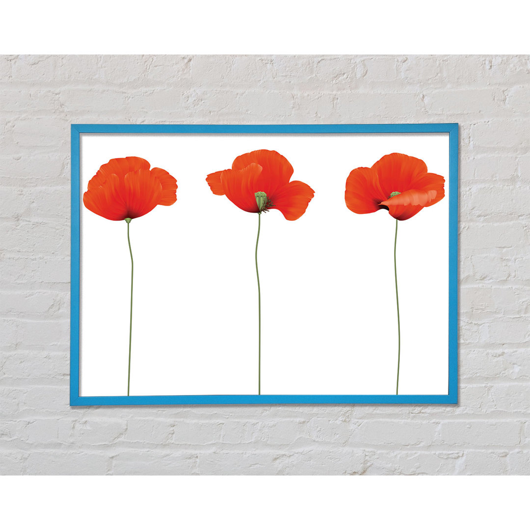 Three Poppies Standing by Unbekannt - Druck