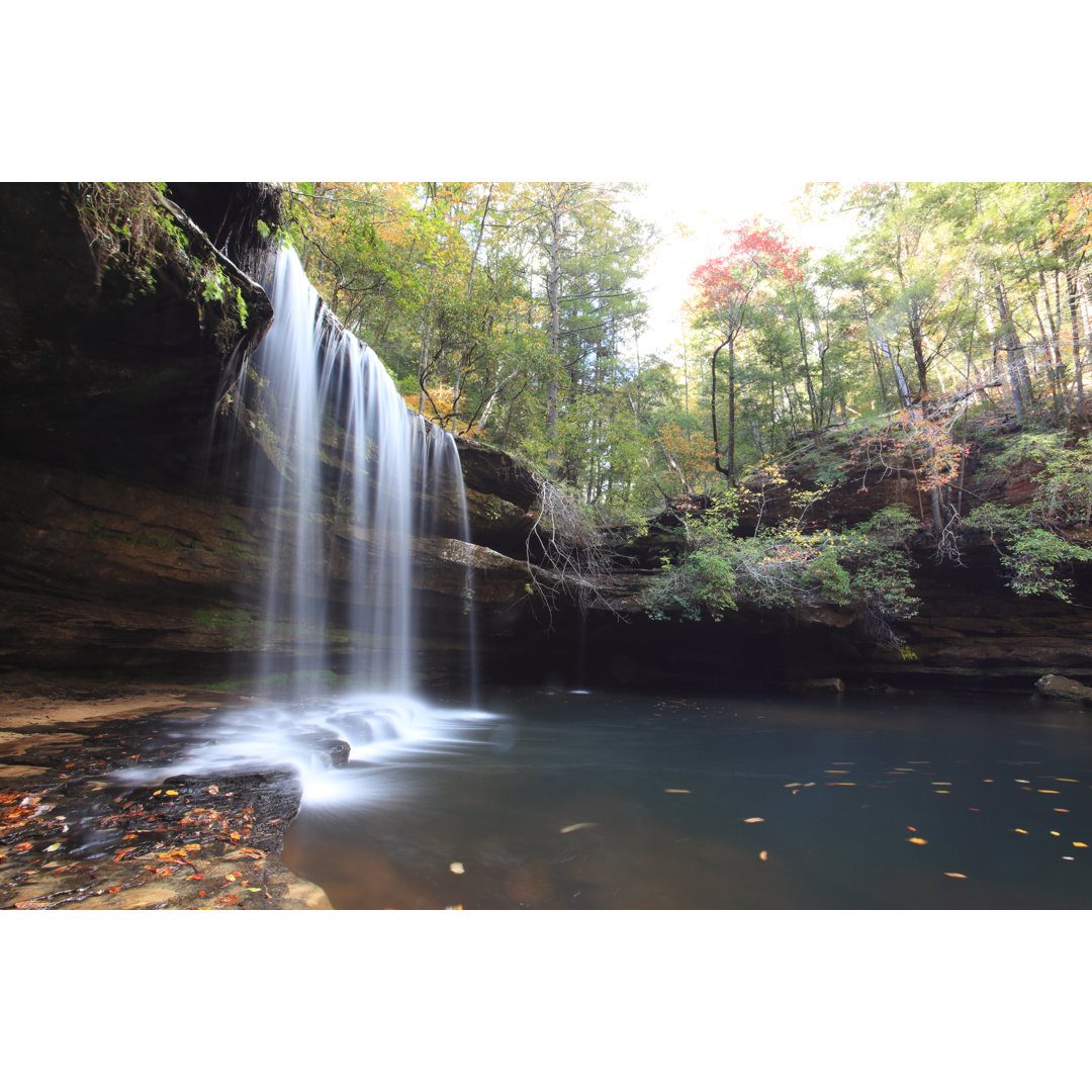 Caney Falls Alabama