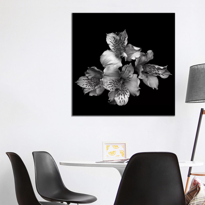 Alstoemeria II, B&W 1 Piece Wrapped Canvas Wall Art, 93.98 cm H x 93.98 cm W x 3.175 cm D