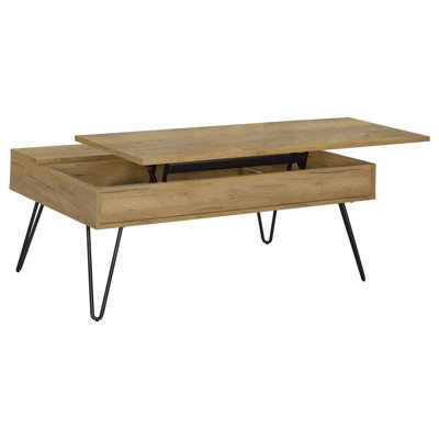 Fanning Golden Oak/Black Lift Top Storage Coffee Table -  George Oliver, 807346145CC84A918DD8691C21304111