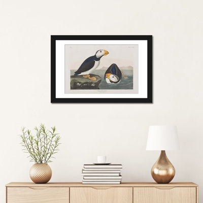 « large-billed puffin' », reproduction d’impression sur toile
