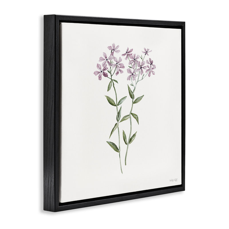 Cadre flottant Phlox Botanical, design par Cindy Jacobs, H 18 po x l 18 po, Cadre flottant noir de jais