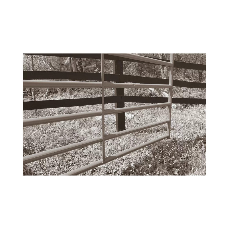 Sepia Farm Study I by Alicia Ludwig - Wrapped Canvas Print, 30.48 cm H x 45.72 cm W