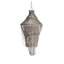 Coquille brune Bernhard
