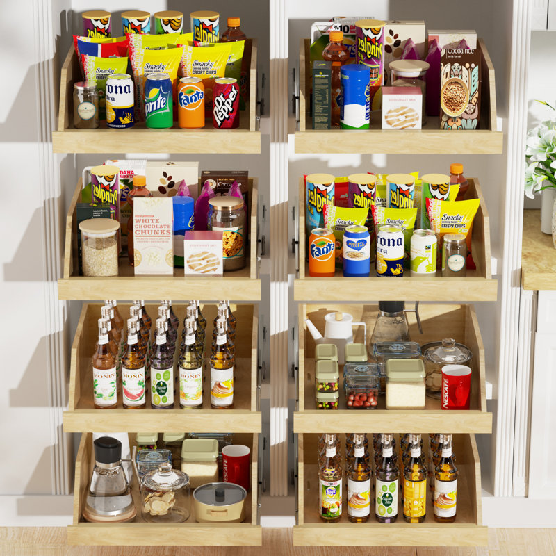 Rashun Pull Out Cabinet Organizer with Extension Rail Slides, Hard Close Pull Out Shelf with U Bracket