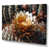 Toile tendue