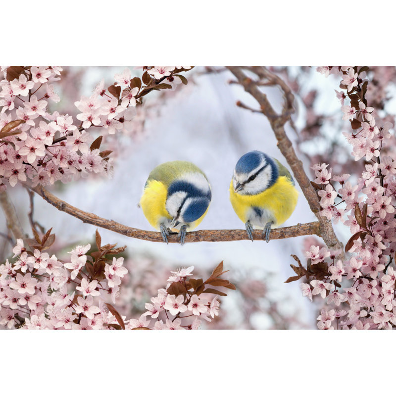 Blue Tit Birds by Tunatura - Wrapped Canvas Print, 81cm H x 122cm W x 3.8cm D