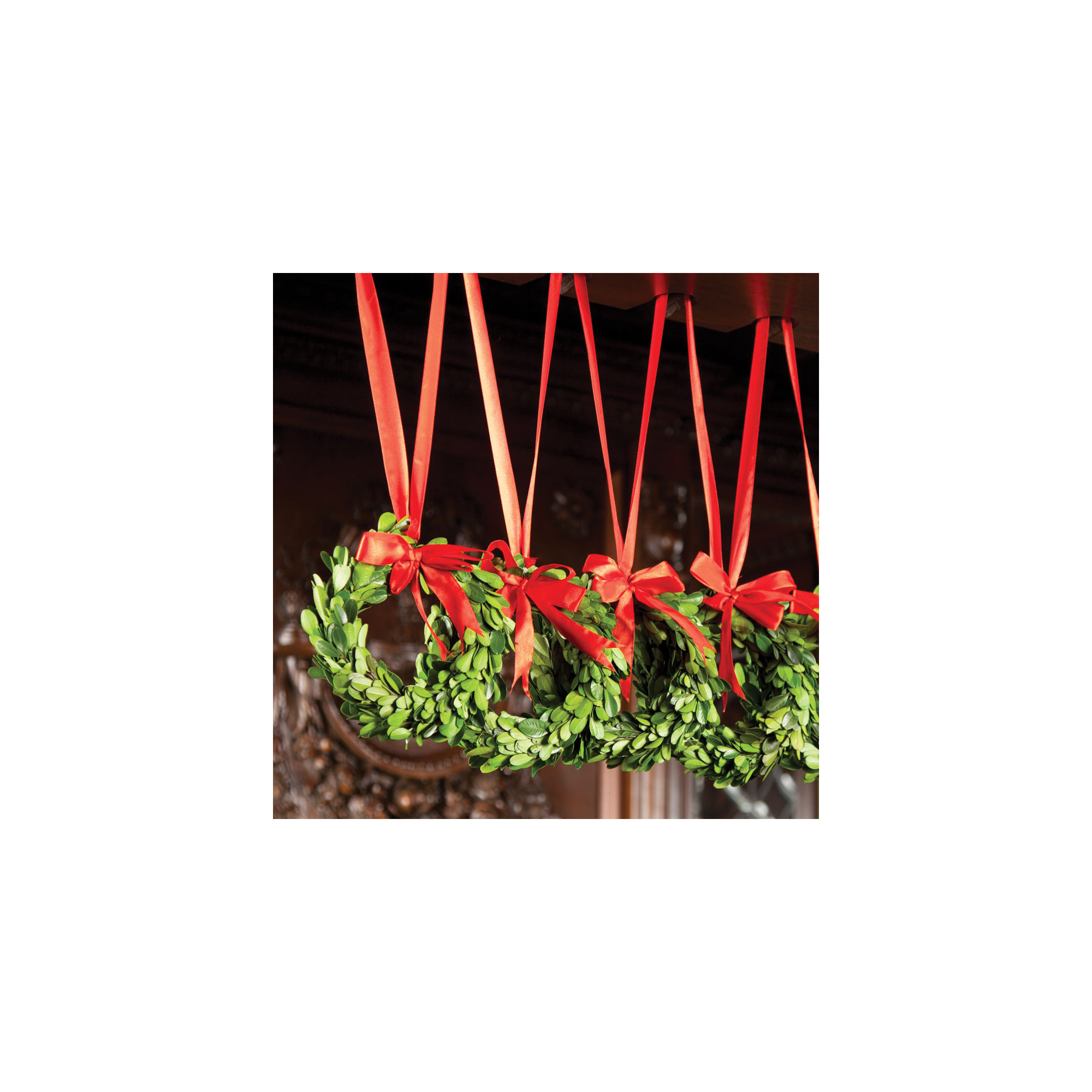 Alby 6.5'' Handcrafted Preserved Boxwood Real Greenery Wreath