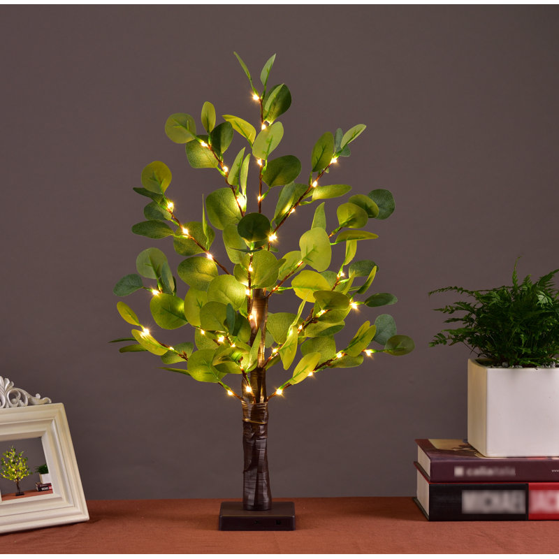 Eucalyptus illuminés arbres et branches