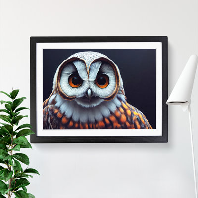 Face Of An Owl Vol.3 - Single Picture Frame Print