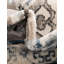 Oriental Area Rug-1827200103