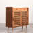 Simple Small-Sized Shoe Storage Cabinet
