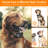Citronella Dog Bark Collar