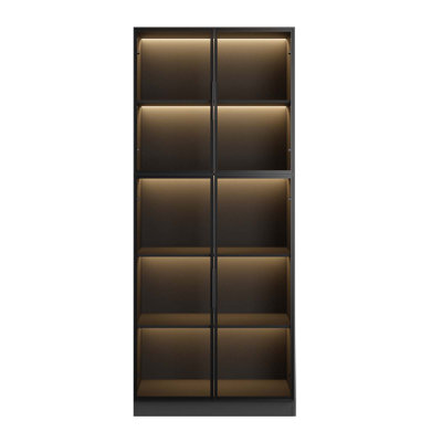 Piraveen Display Cabinet with Glass Doors and LED Lights