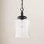 Luminaire suspendu simple en forme de cloche à 1 lumière Pinedale-1390480724