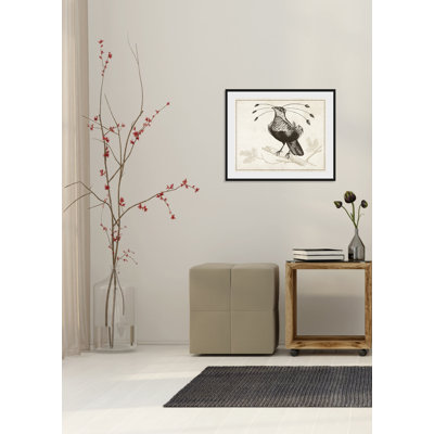 Bird - Single Picture Frame Print