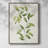 Wilted Vine II Framed Print - Solid Wood-42393776