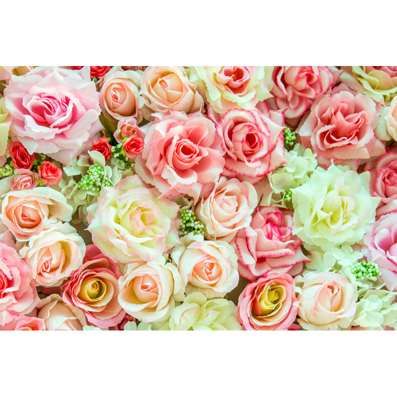 Doux couleurs de roses - photographie sur toile tendue, H 12 po x l 18 po