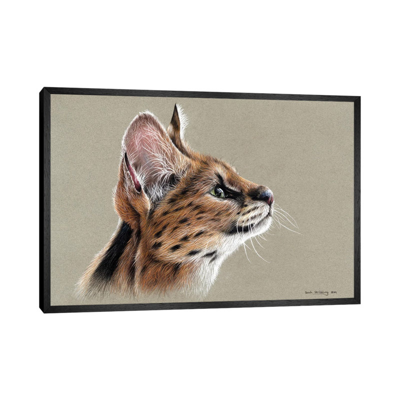 Serval by Sarah Stribbling - Gallery-Wrapped Canvas Giclée on Canvas, Black Framed, 66.04 cm H x 45.72 cm W