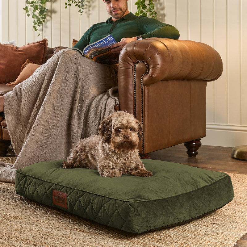 Slumberdown Paws for Slumber Raised Padded Dog Bed – Comfortable, Supportive & Durable Pet Bed for All Breeds, Green