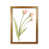 Honey Oak Frame is unavailable