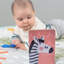 Taf Toys Savannah 8-Piece Baby Gym Set