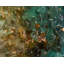 Mary Hong Beveled Wall Mirror