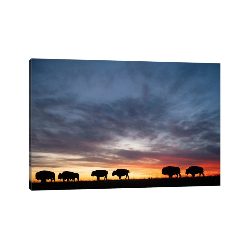 A Silhouette Of A Herd Of Bison And Sunset Near Valentine, Nebraska by Joel Sartore - Gallery-Wrapped Canvas Giclée on Canvas