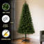 Arbre de Noël artificiel de 6 pi avec 490 pointes, branches, support à 4 pieds, assemblage facile, idéal pour la décoration de bureau, ignifuge classique en plastique, ornement personnalisé pour les Fêtes