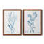Antique Botanical In Blue I - ensemble de 2 peintures sur toile encadrées-513733312-513733336