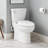 Bradenton 1.28 GPF Two Piece Elongated Toilet-92931201