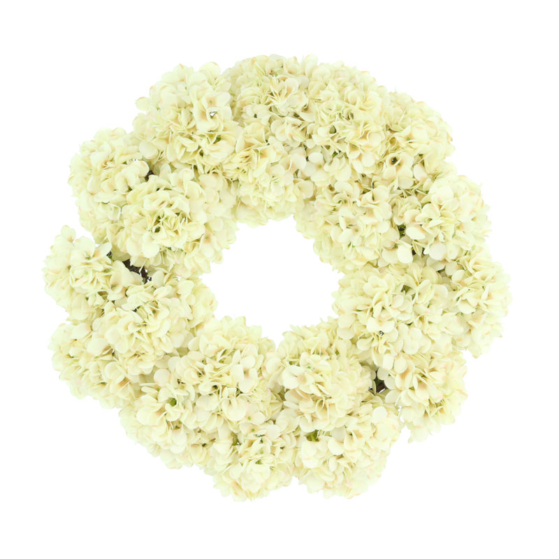 Couronne d'hortensia 24 po Sofia, Crème