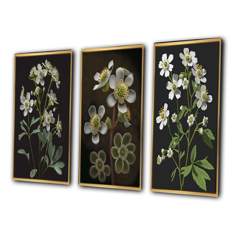 «Blossoming Diphylleia Grayi On Black», 3 pièces, Or, H 32 po x l 48 po