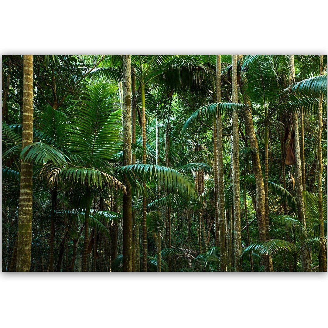 Leinwandbild Green Palms