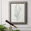 «Botanical Study in Sage I», reproduction d'art sur toile-1084176051
