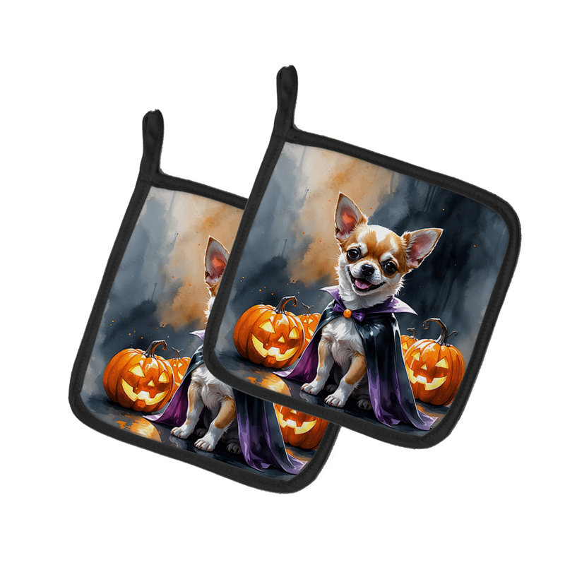Chiot Chihuahua