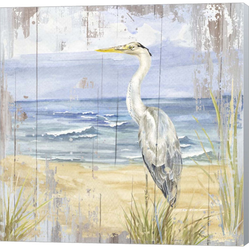 «Birds Of The Coast Rustic II» par Tara Reed, art mural sur toile
