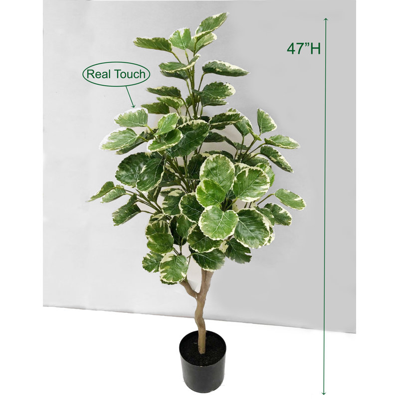 Faux Money Tree Plant in Pot, 47" H x 22" W x 22" D