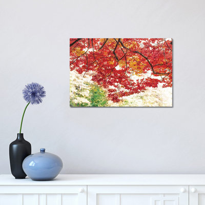 The Red Dome by Philippe Sainte-Laudy - Print on Canvas