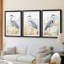 ANIMALS Series CCCCXXV - Impression sur mesure encadrée de qualité supérieure - 3 pièces-923539006-923539005