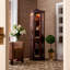 Vitrine lumineuse-16394763