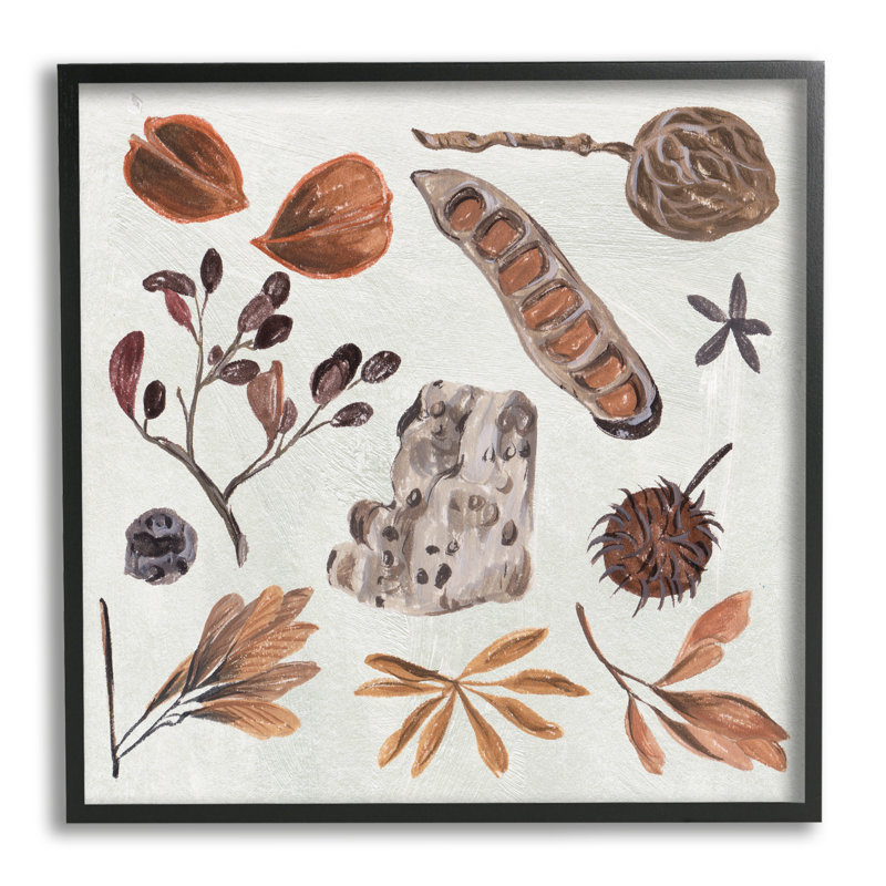 «Brown Seed Leaf Nut Botanicals Nature» par Melissa Wang - Peinture, H 12 po x l 12 po x P 1,5 po
