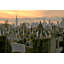Cimetière du calvaire de New York-250436945