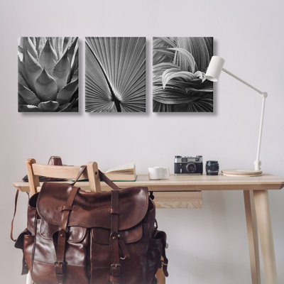 «Stupell Industries Palm Frond», ensemble de 3 reproductions d'art sur toile par Chip Forelli